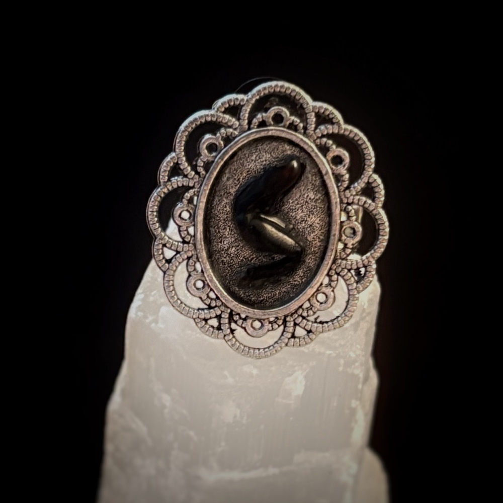 Real Beetle Leg Oddity Adjustable Ring